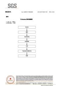 胶水SGS